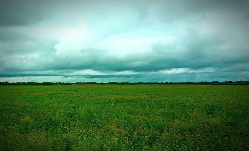 Scenic view of grassy field against cloudy sky