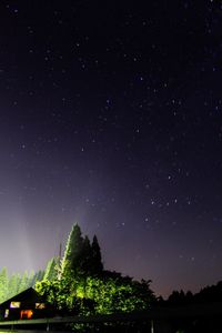 Low angle view of trees against clear sky