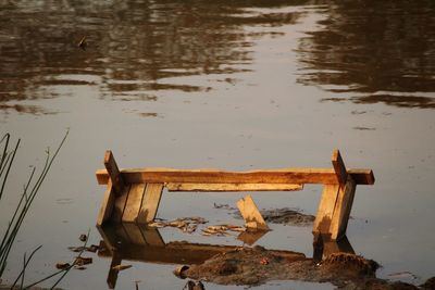 View of bird on wood in lake