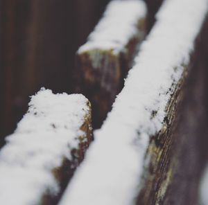 Close-up of snow