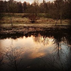 water