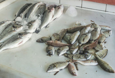 High angle view of fish for sale in market