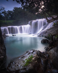 Scenic view of waterfall in forest