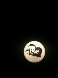 Close-up of fire against black background