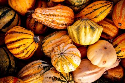 Full frame shot of pumpkins for sale at market