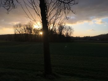 Silhouette trees on field against sky at sunset