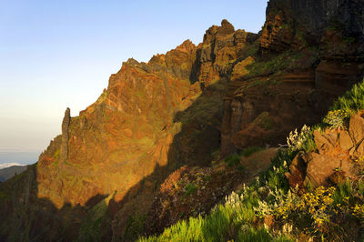 Scenic view of landscape against clear sky