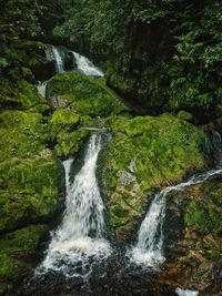 Scenic view of waterfall in forest