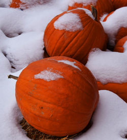 Close-up of pumpkin on snow