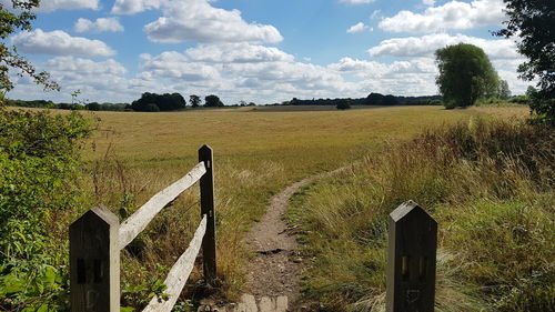 Scenic view of field against sky