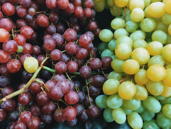 Close-up of grapes