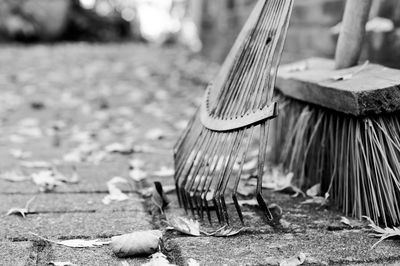 Close-up of gardening equipment with autumn leaves on footpath