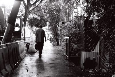 Rear view of people walking on footpath amidst trees