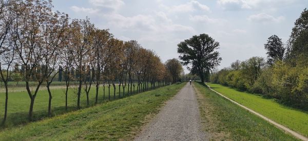 Road amidst trees against sky