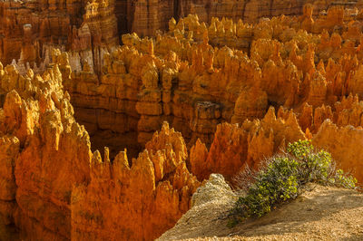 Rock formations in cave