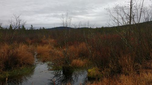 Scenic view of lake against cloudy sky