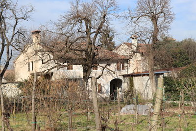 Bare trees on field by historic building against sky