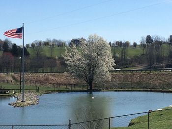 View of trees against sky