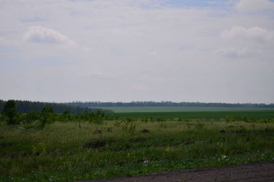 Scenic view of field against sky