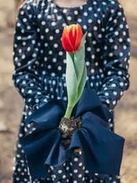 Close-up of person holding flowering plant