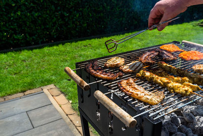 Different types of meat fried on the home grill, standing on a home garden on the paving stone.