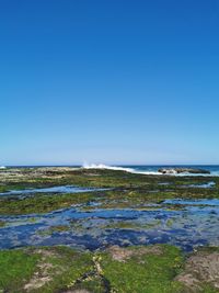 Scenic view of sea against clear blue sky