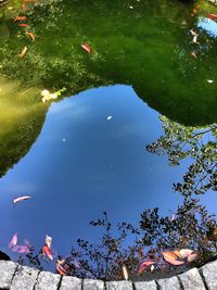 Reflection of sun in water