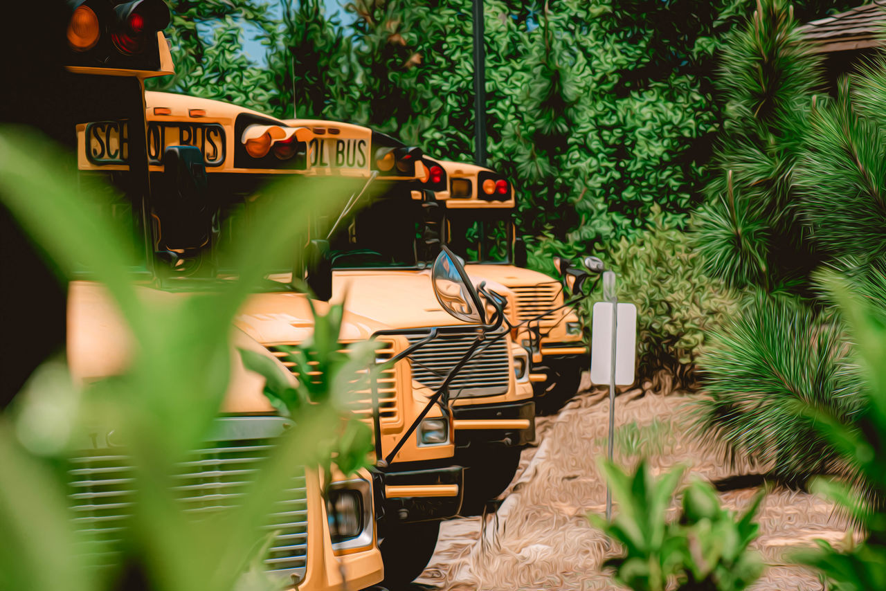 VIEW OF AN ABANDONED BUS