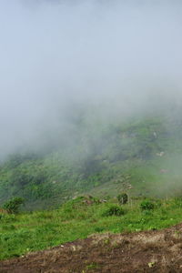 Scenic view of field against sky during foggy weather