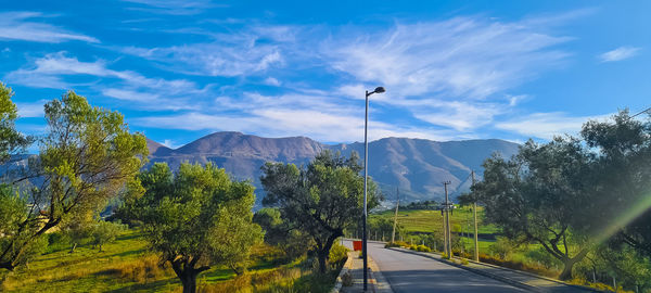 Road amidst trees and plants against sky