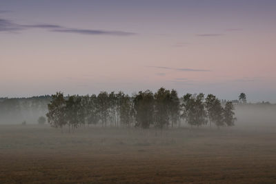 Trees on landscape against sky