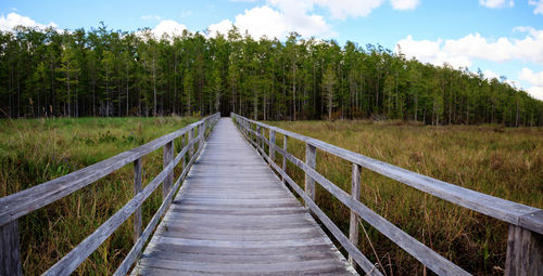 Boardwalk amidst trees in forest