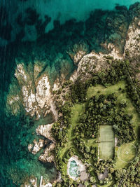 High angle view of trees by sea