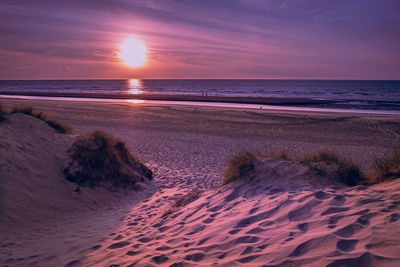 Small path leading from marram grass covered dunes towards the beach prior to a colorful sunset