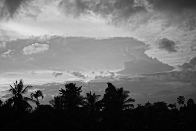 Low angle view of silhouette trees against sky