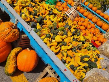 High angle view of orange pumpkins on market