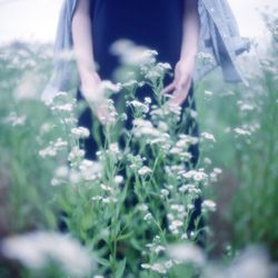 Mid section of woman with white flowers in foreground