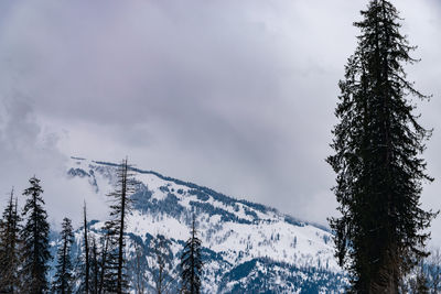 Low angle view of snowcapped mountains against sky
