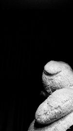 Close-up of leaf against black background