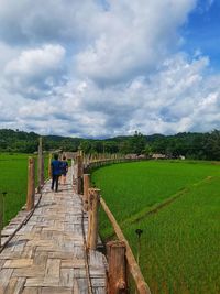 Rear view of man on agricultural field against sky