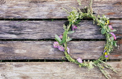 Close-up of purple flowering plants