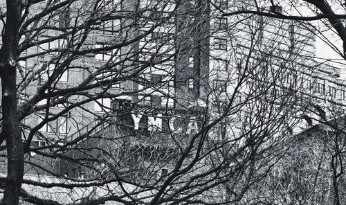 Low angle view of bare trees against the sky