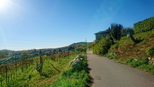 Scenic view of farm against clear sky