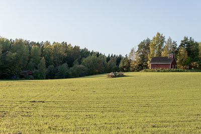 Scenic view of field against clear sky