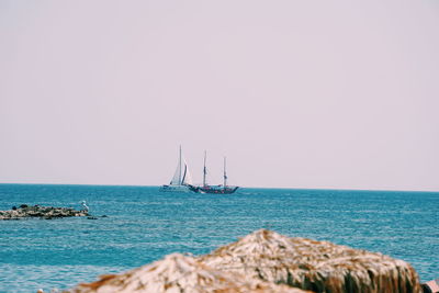 Sailboat sailing in sea against clear sky