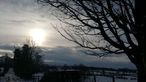 Bare trees on snow covered landscape against cloudy sky