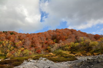 Scenic view of mountain against sky during autumn