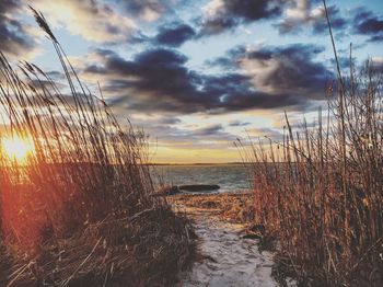 Scenic view of sea against dramatic sky