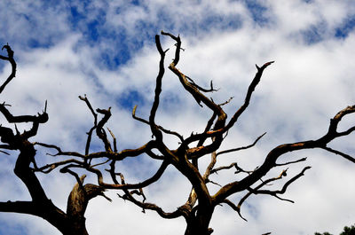 Low angle view of bare tree against cloudy sky