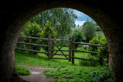 Trees seen through arch gate